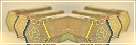 design01